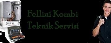 Örnek Fellini Kombi Servisi 0216 309 4025